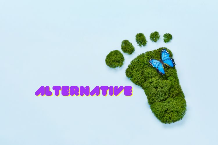 A Plea for Sustainable Alternatives