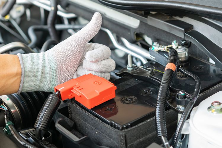 3. Battery - Electric Lifeline