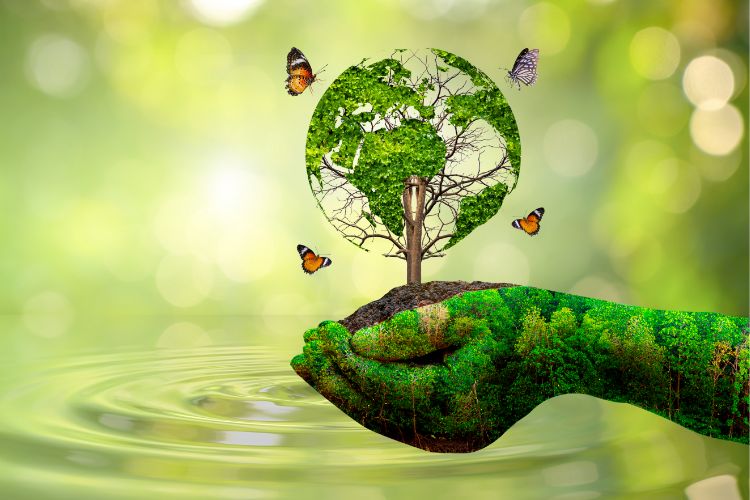 4. Minimal Waste and Environmental Benefits