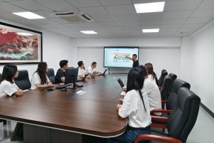 dfm and engineering support